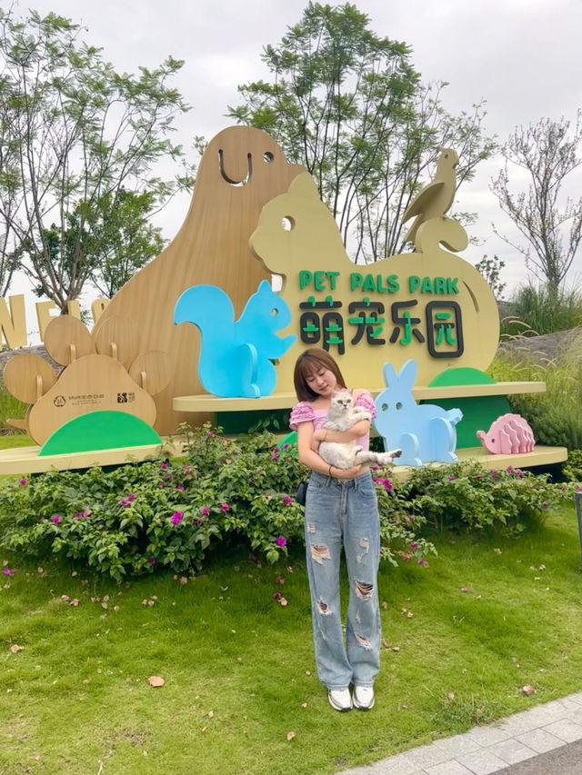 在成都也有專屬動物樂園啦