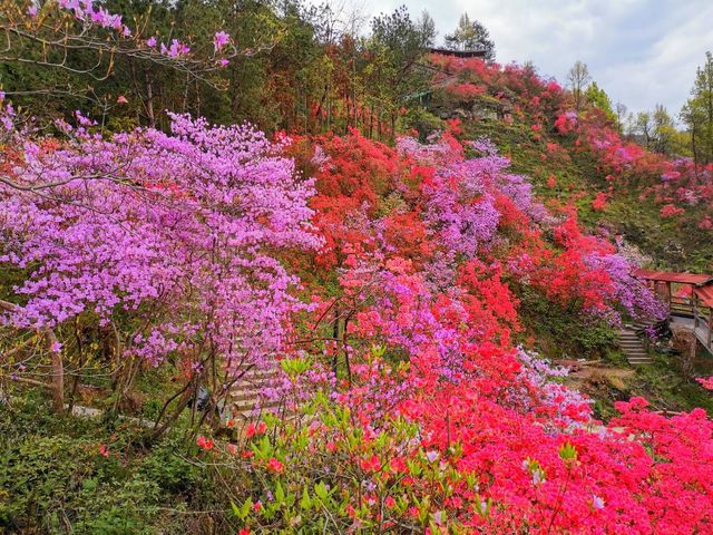 春滿天峽