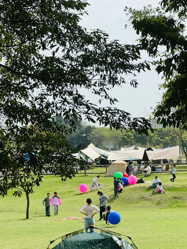 成都塔子山公園快樂老家~