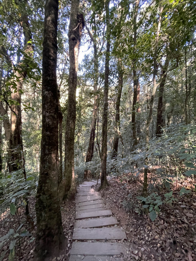 清邁｜因他暖山新手友好小眾徒步路線-上山1