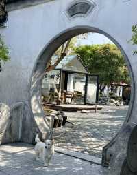 清新 安逸的歇馬橋村