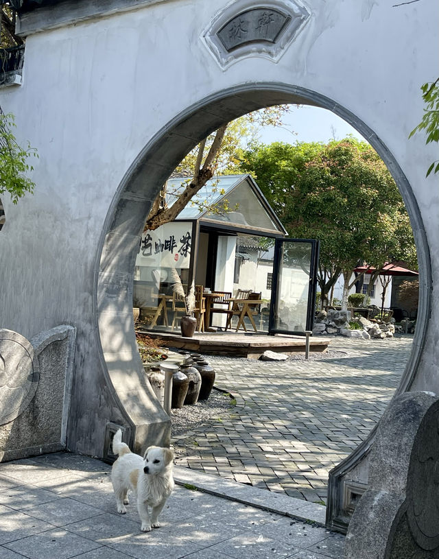 清新 安逸的歇馬橋村