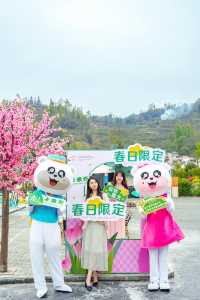 追隨春風去度假之——住進春天裡