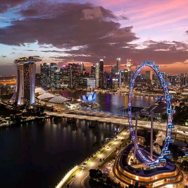 Singapore Wonderful Ferris Experience 🇸🇬♥️