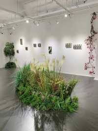 春季免費新展，春日不相識