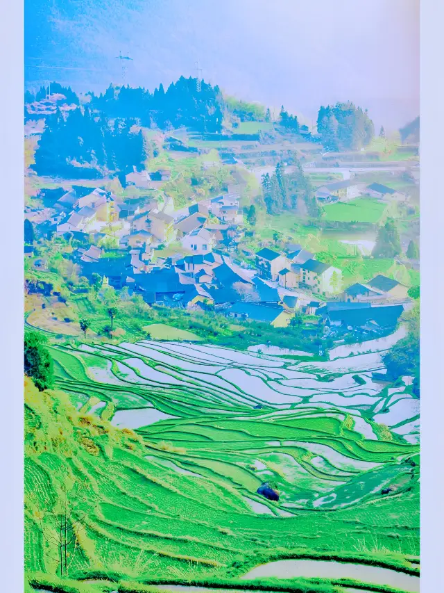 진짜 후회해! 리수에 일찍 오지 않아서! 절경인 구름 바다 일출이 너무 로맨틱해