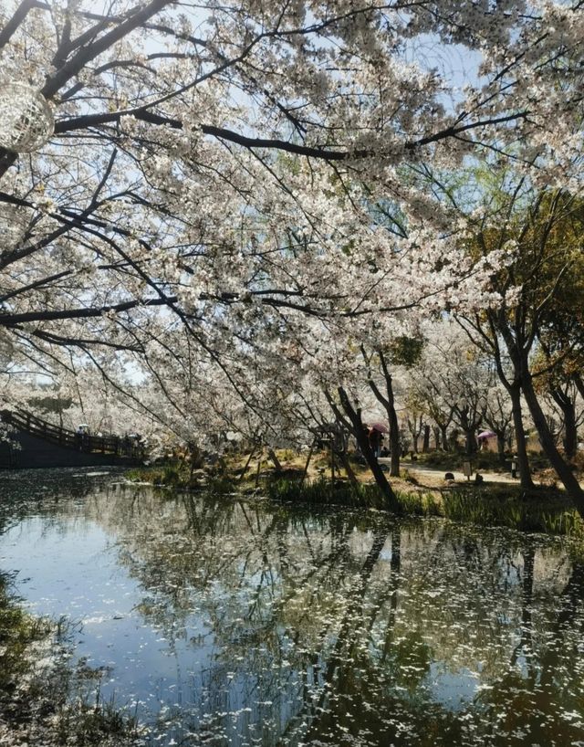 無錫拈花灣現在才知道