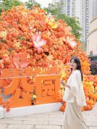 重慶五一去哪兒快來海洋公園圓藍色之夢