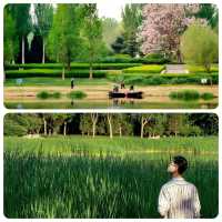北京·北坞公園
