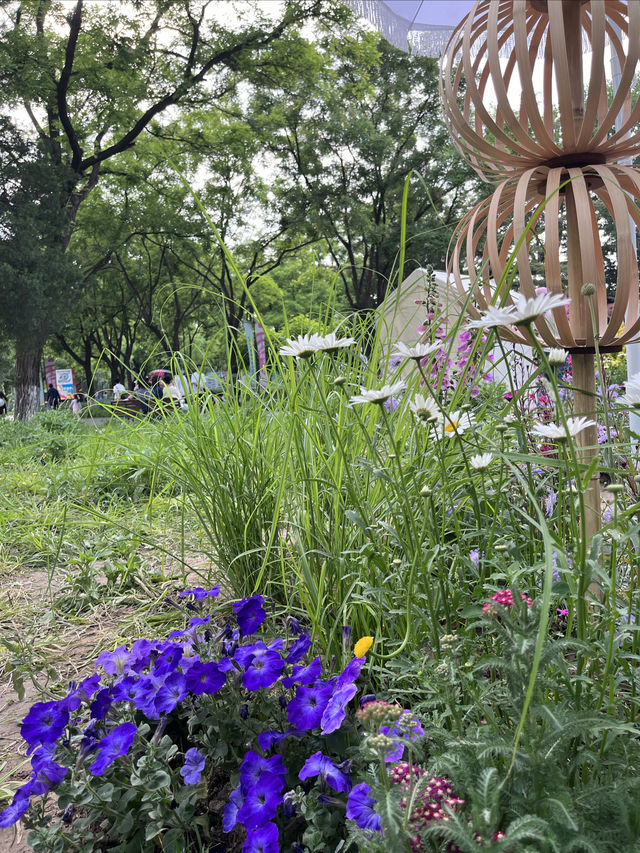 北京龍潭中湖公園——「您好，花園城市」