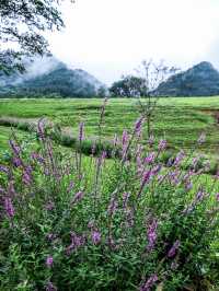 煙台旅遊｜夏日昆嵛山石門里徒步好去處