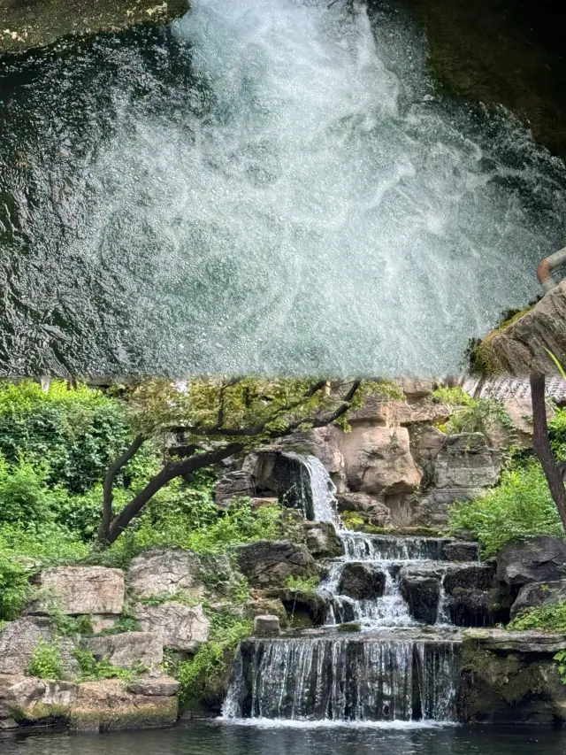 ในวันฤดูใบไม้ผลิ ฉันได้กลับไปเยือนบ่อน้ำพุบัวตู้อีกครั้ง เพื่อค้นหาความงามของเมืองแห่งน้ำพุ