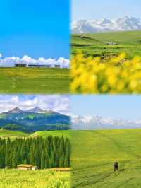 在新疆的這個草原，絕不虛此行……
