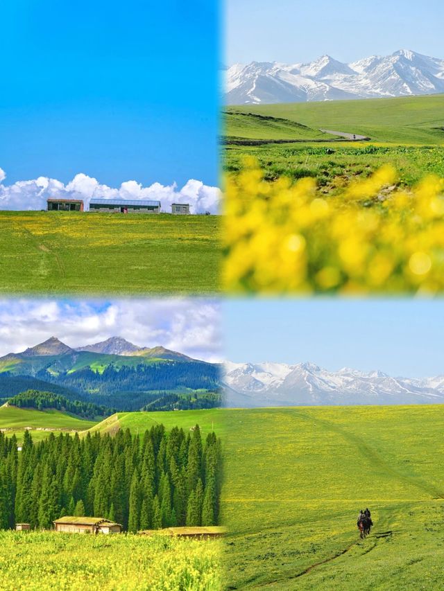 在新疆的這個草原，絕不虛此行……