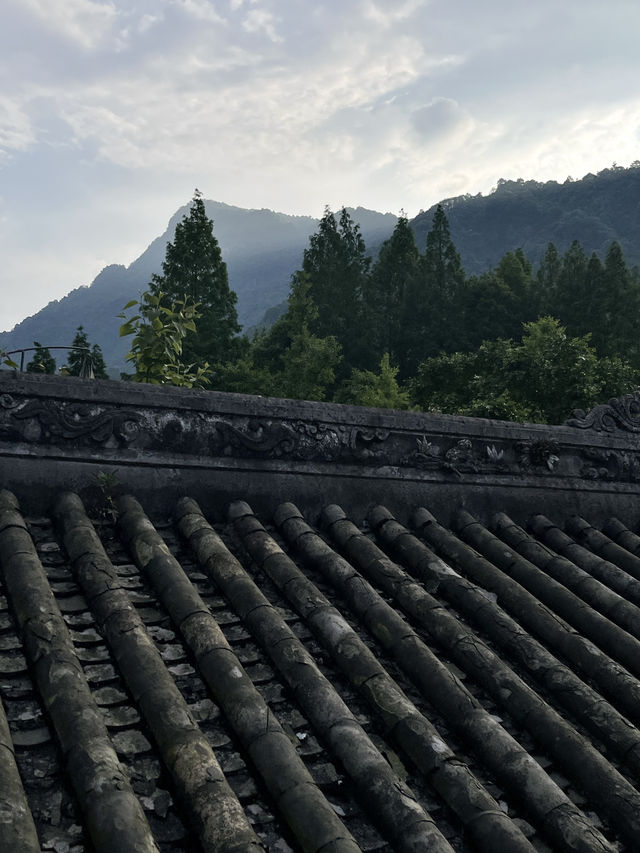 藏在重慶市區的徒步秘境｜森林溪流草坪