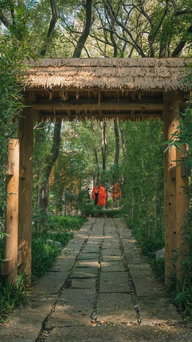 你說你喜歡江南，我便春杉吹絮！｜文泉禅寺