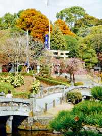 【熊本】出水神社：歷史悠久絕佳春遊去處