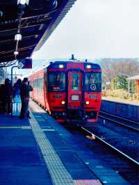 【阿蘇站】春天郊遊好去處還有超好吃的牛奶冰激淩!