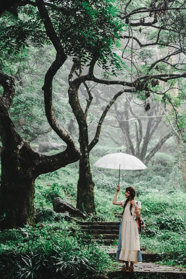 廣州夏日拍照·在廣州發現塞爾達森林，太出片啦！！