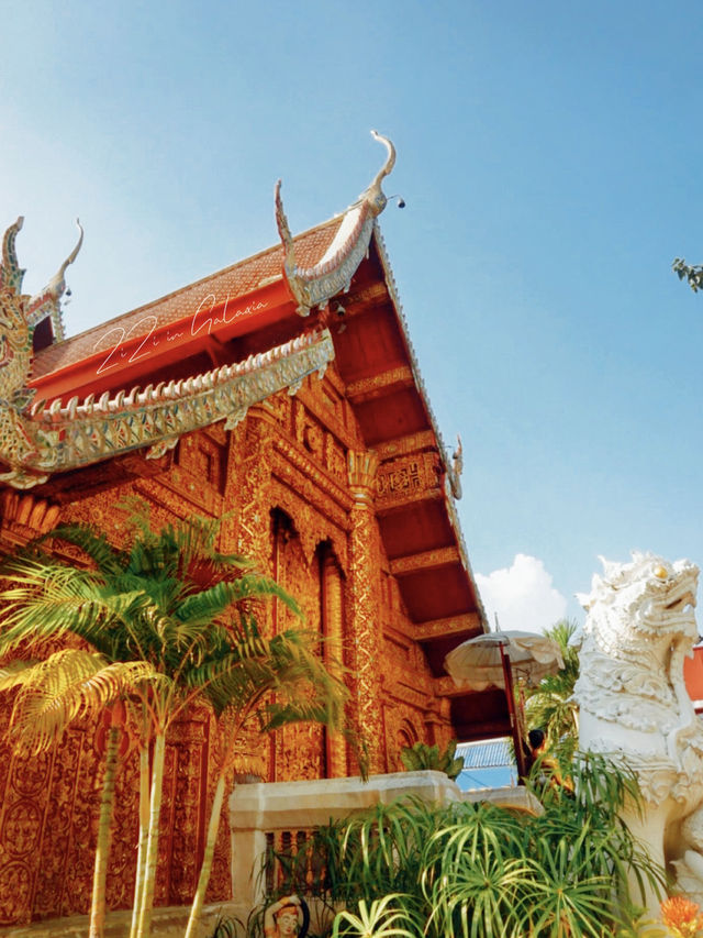 【清邁寺廟】春季好去處神聖莊嚴適合任何場景