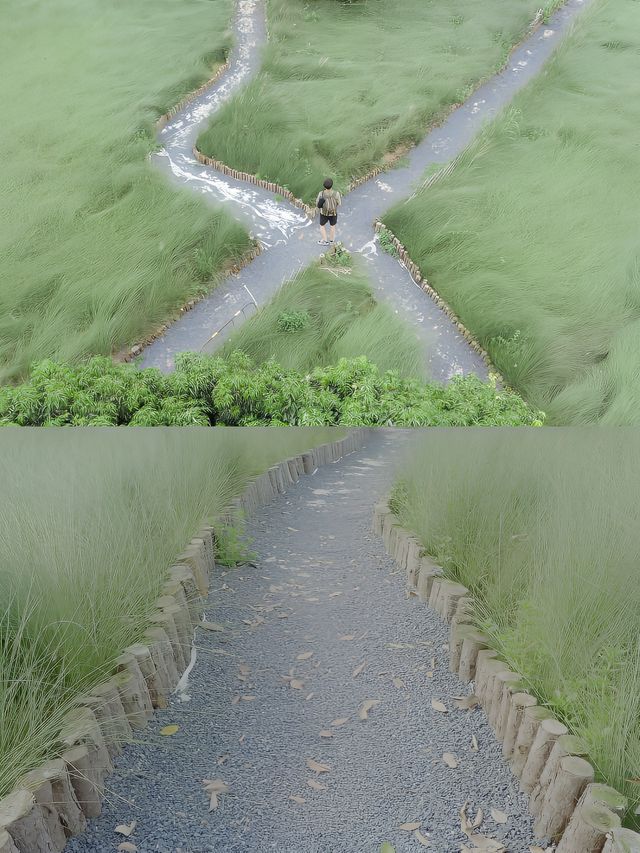 深圳市區治癒避暑好去處