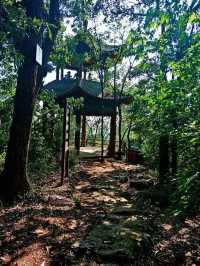 大口國家森林公園奇遇記