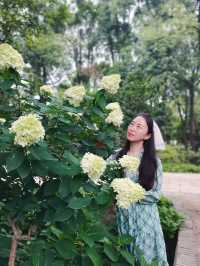 在成都！！鮮花織就的小徑