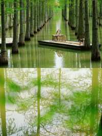 還有誰不知道宿遷是江浙滬“小三亞”嗎?宿遷真的不錯