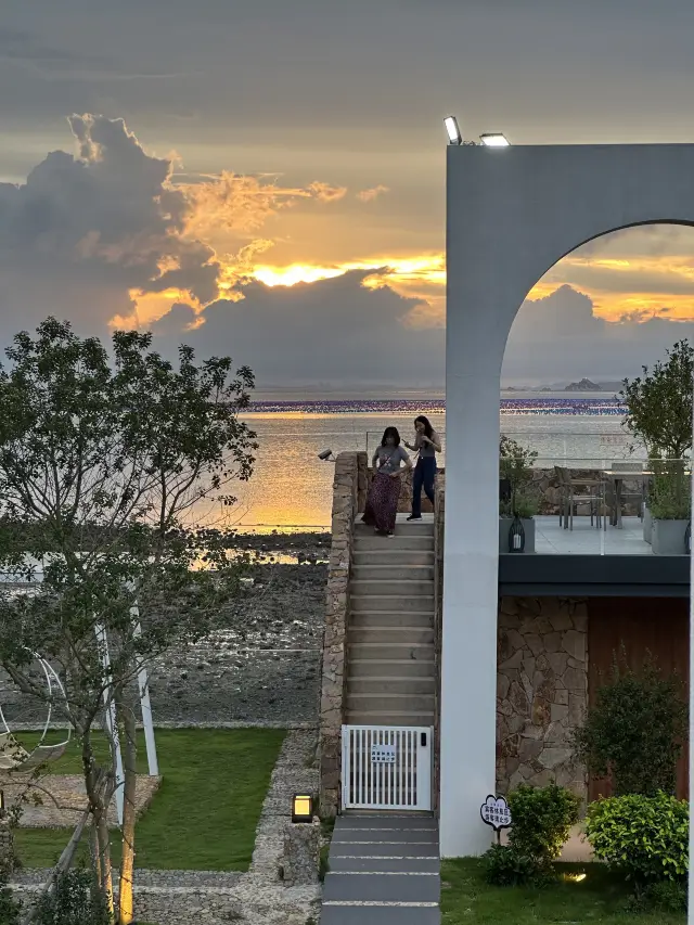 ที่พักและพระอาทิตย์ตก, หมีขาวและแมวเหมียว