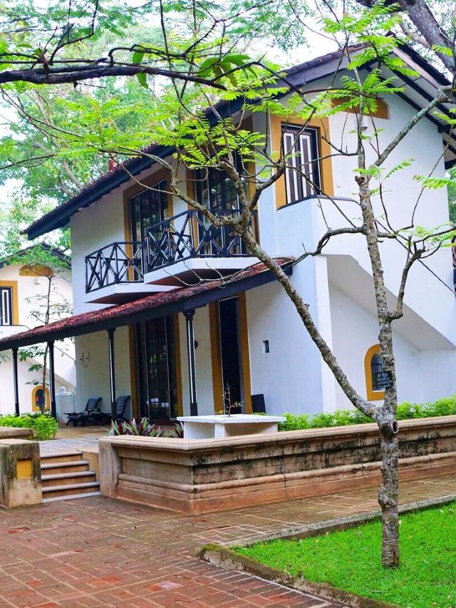 🌴🏨 Sri Lanka's Scenic Stay: Cinnamon Lodge Habarana 🐒🌄