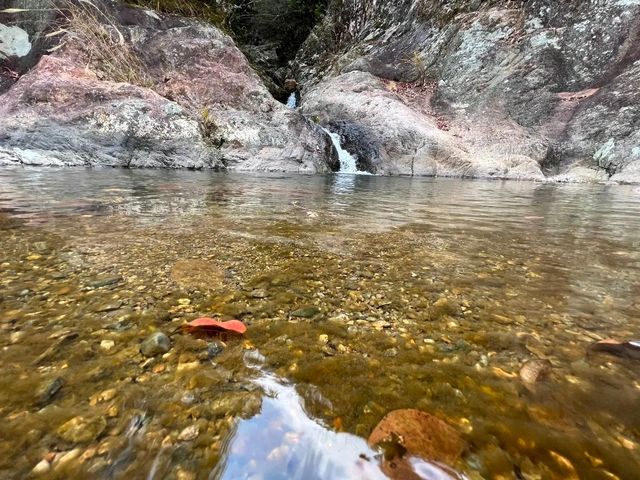 天然氧吧，避暑納涼：福安棕樹山