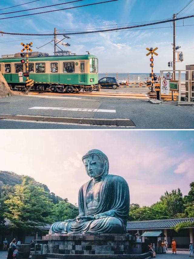 日本東京五天四晚超省心攻略！直接跟著走！