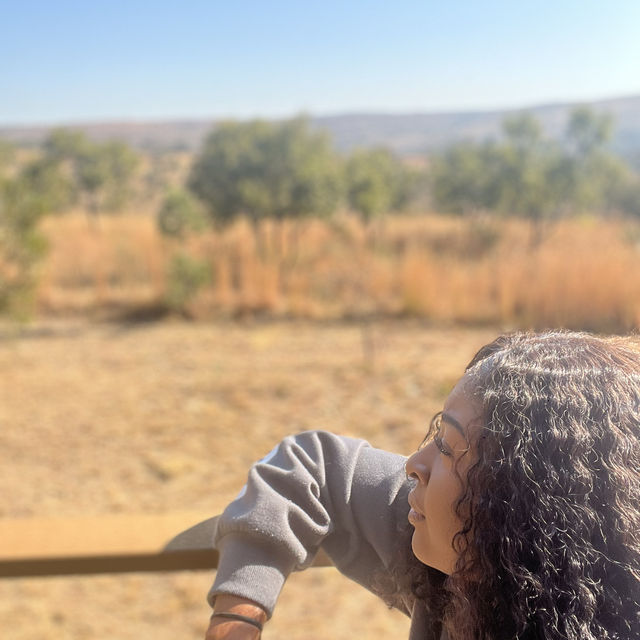 South Africa 🇿🇦 Rhino and Lion Nature Reserve! 