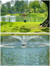 摩訶池公園，來了就不想走！