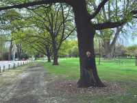 基督城哈格利公園，城市中的自然綠洲