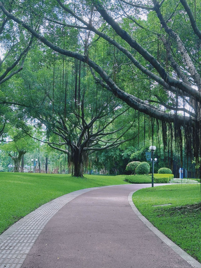 公園20分鐘 | 廈門南湖公園遊園記