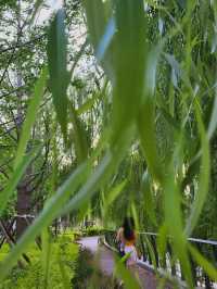 會玩亮馬橋不花錢純享Citywalk攻略