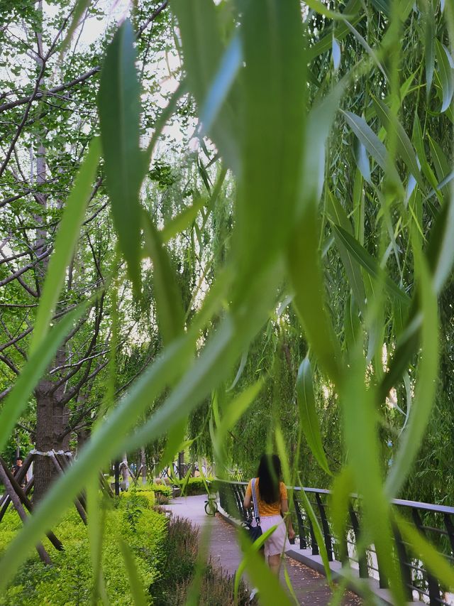 會玩亮馬橋不花錢純享Citywalk攻略