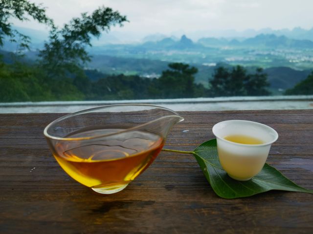 初秋泡山泉 快樂翻倍｜南寧周邊