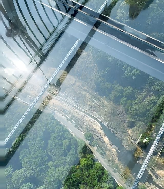 來三門感受這如詩如畫的旅行