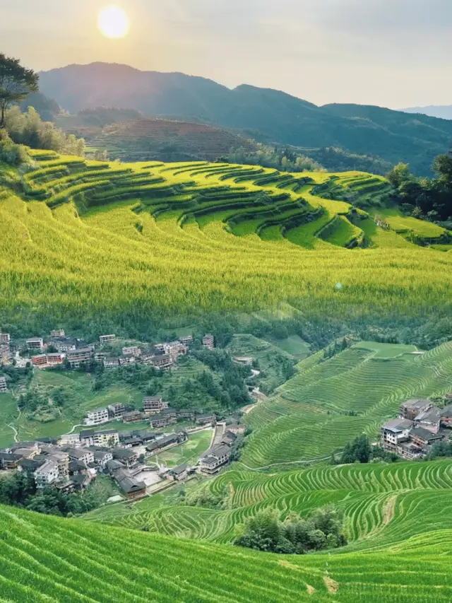 세계 10대 아름다운 지형 중 하나인 도원 계단식 논의 매력적인 전설을 탐험하세요