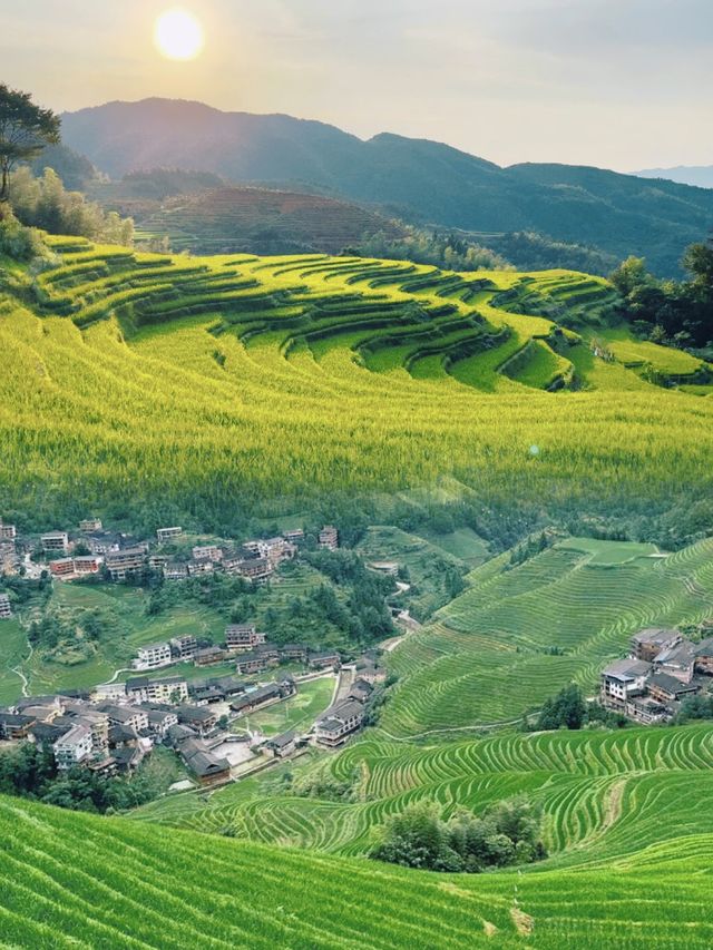 探索全球十大最美地形之一：桃源梯田的迷人傳說