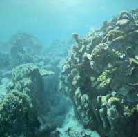 海之蒼穹