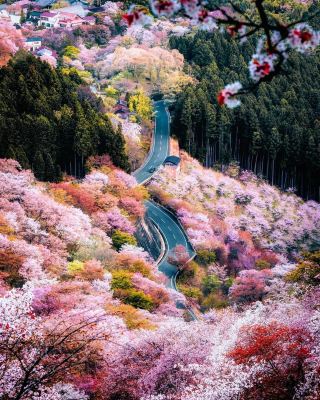 일본의 숨겨진 명소를 소개합니다.