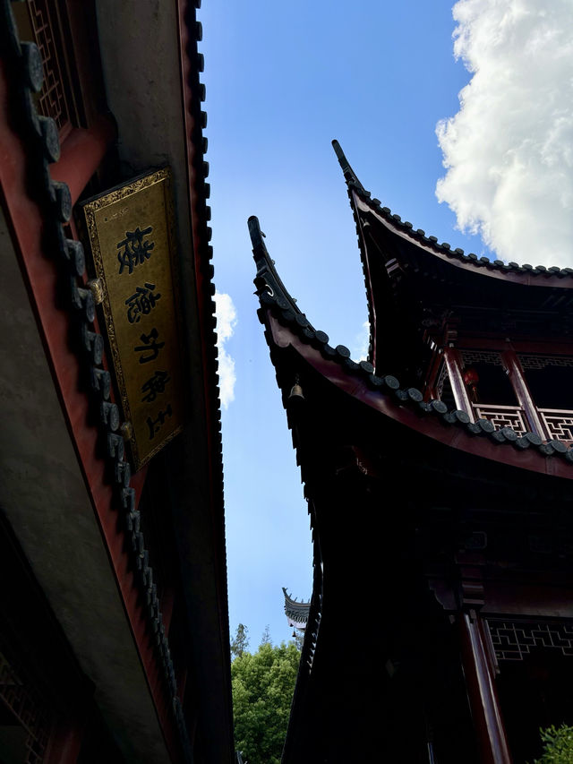 沒有名氣卻值得一遊的報國寺