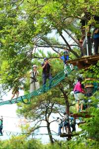 西樵山的快樂中秋叢林探險之旅