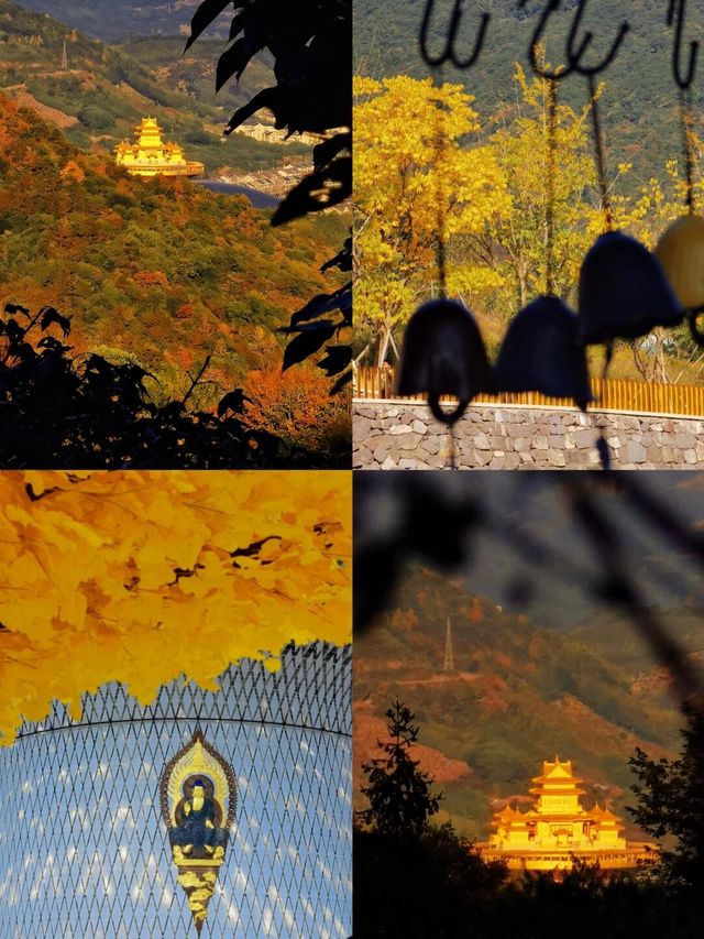 雲頂佛國–雪竇山彌勒聖壇位於寧波。