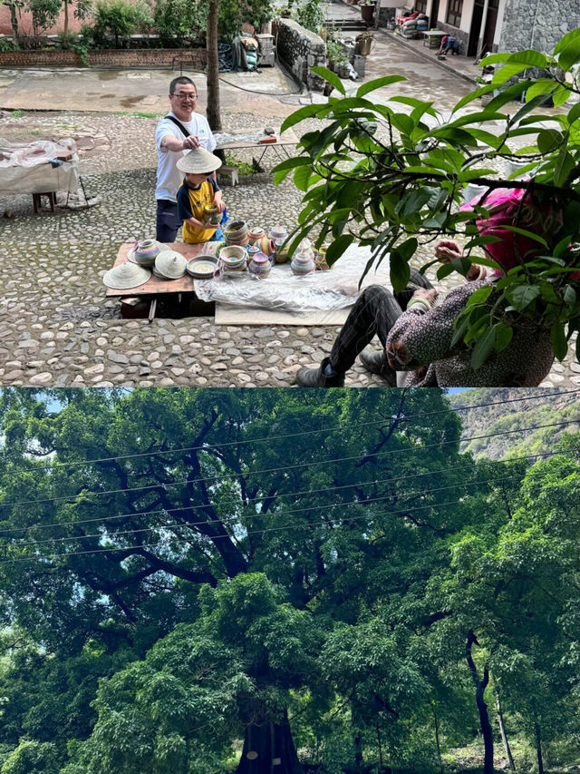 泥珠河大峽谷懶人遊玩小記,真係太鍾意啦!
