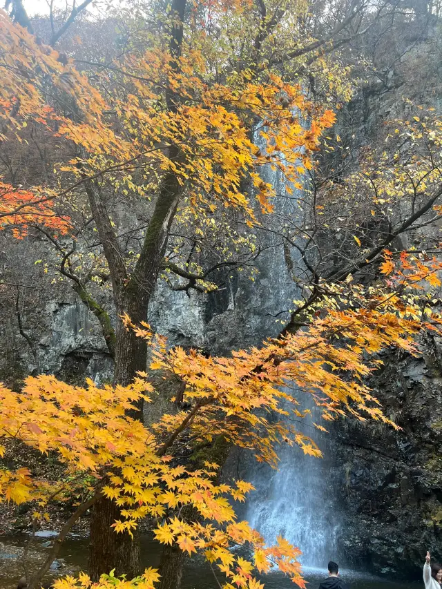 本溪/関門山/紅葉狩りに行くしかない！