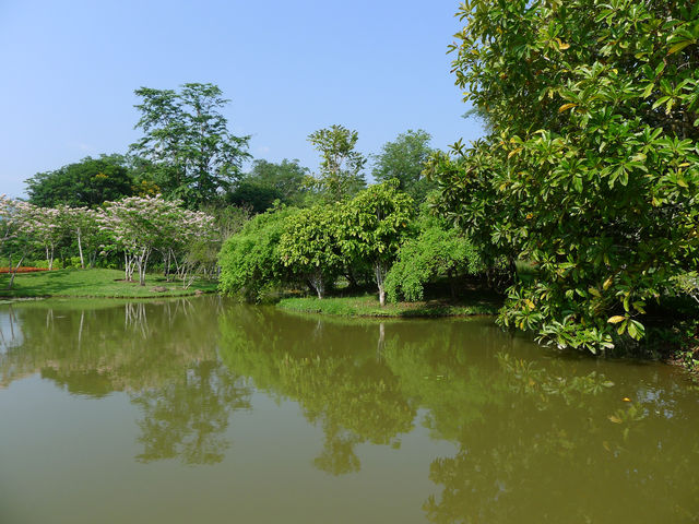 景洪·熱帶植物園西區——園藝的巔峰之作。